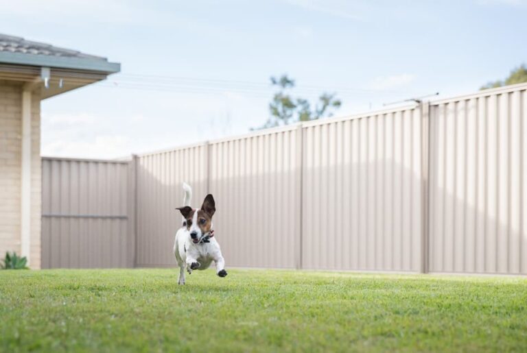Best Smart Fencing for Pet Containment: An Authoritative 2026